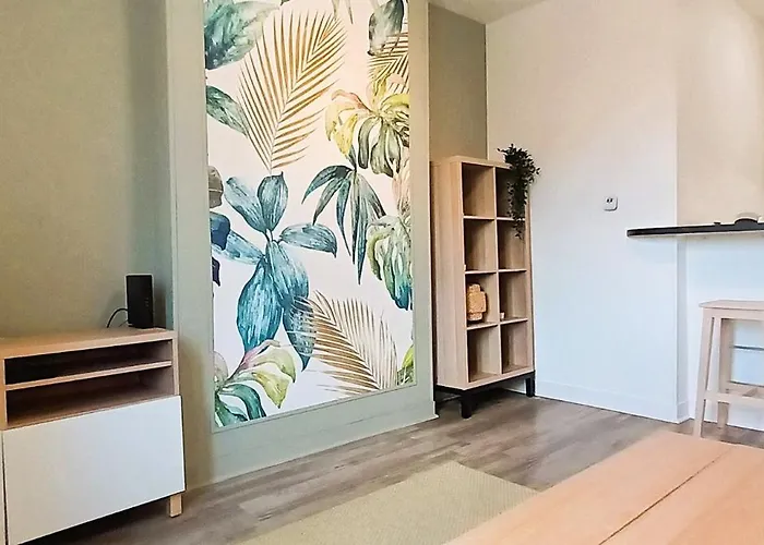 Apartamento L'oasis-t2 Spacieux-wifi-tv-proche Gare