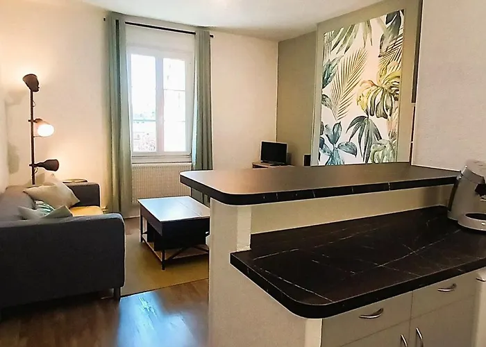 Lejlighed L'oasis-t2 Spacieux-wifi-tv-proche Gare Tours