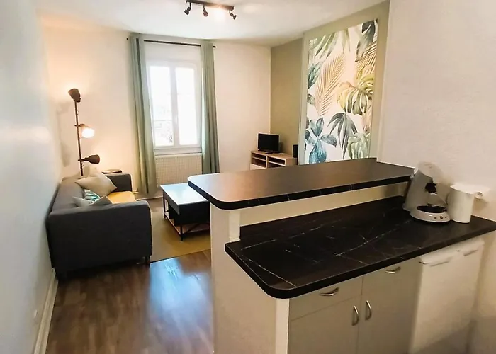 Apartment L'oasis-t2 Spacieux-wifi-tv-proche Gare